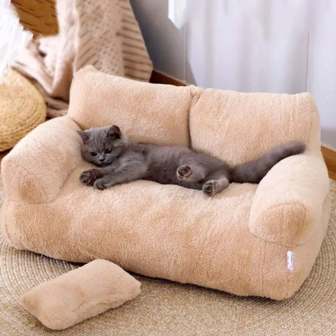 Pet Sofas & Furniture
