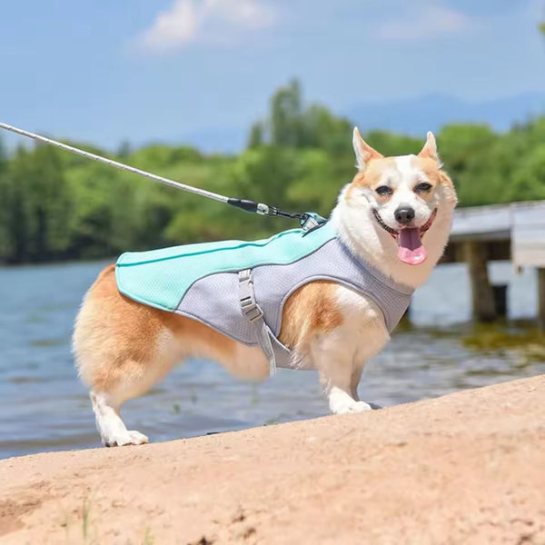 Dog Vest with Adjustable Straps