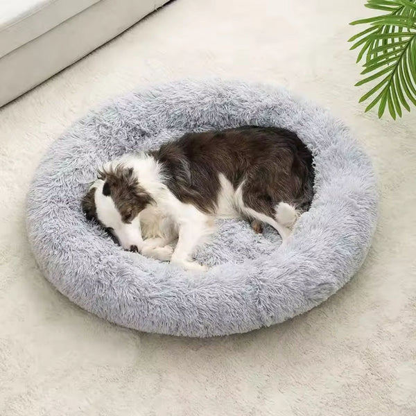 Pet Bed with Raised Bolster