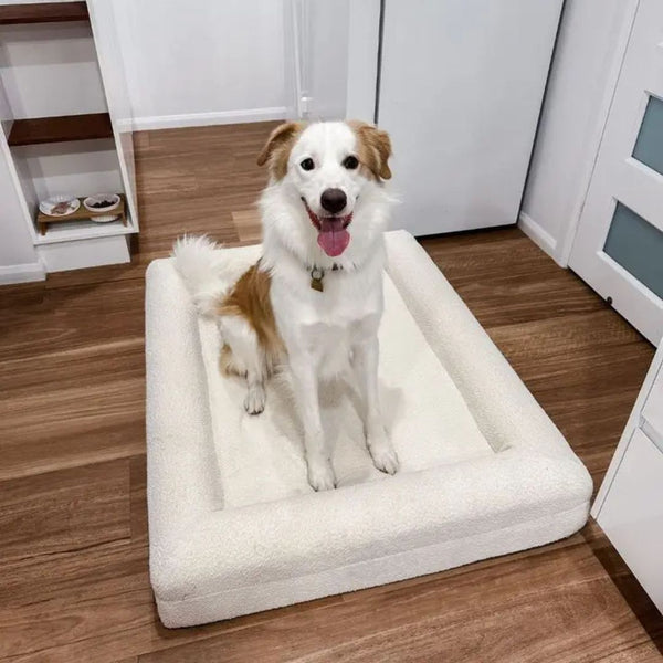 Rectangular Dog Bed