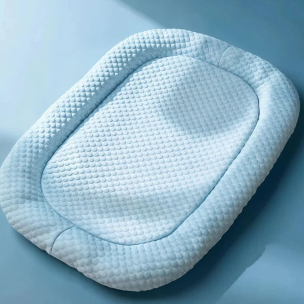 Rectangular Pet Bed with Padded Border